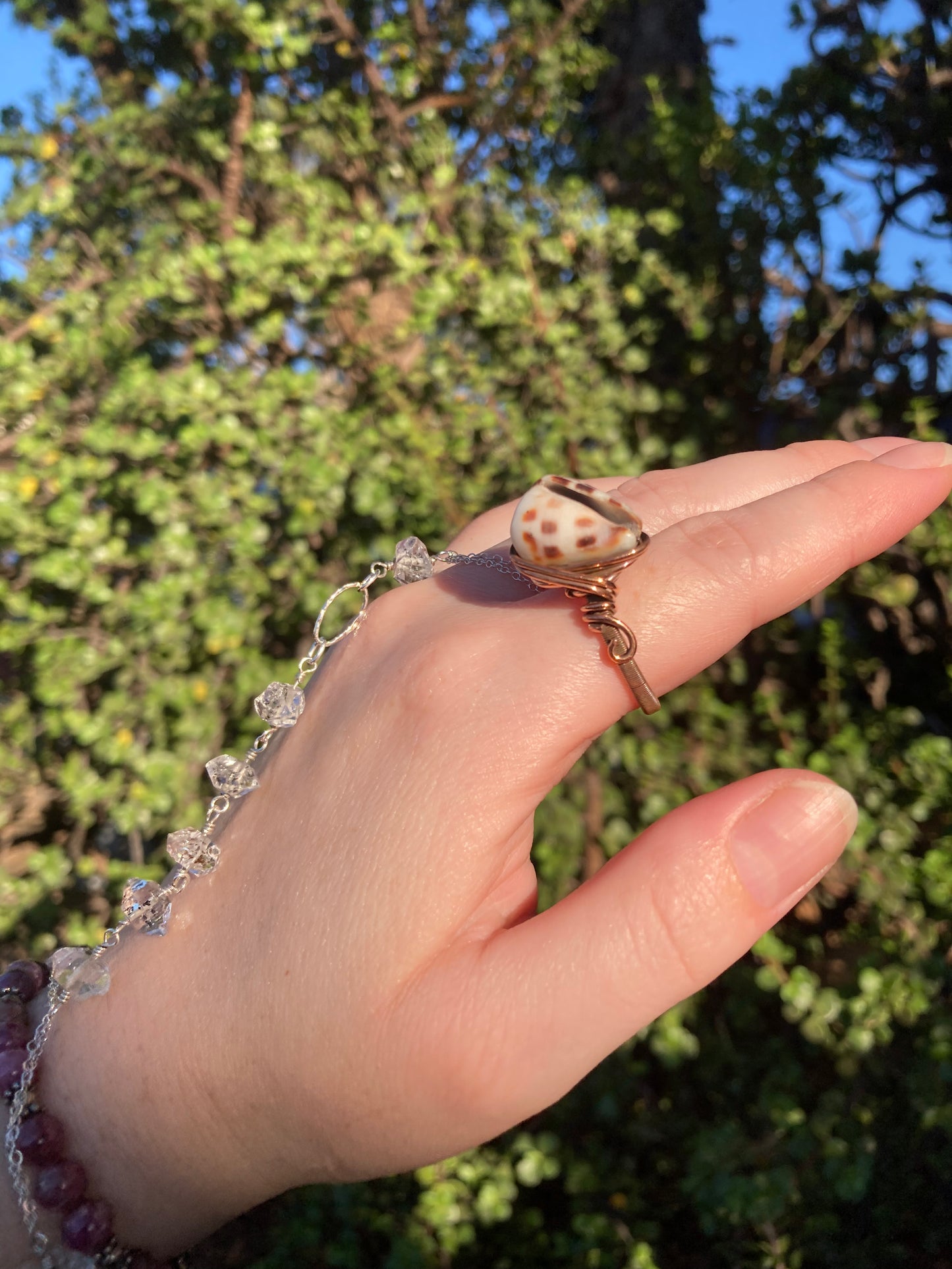 Hebrew Cone Shell Copper Wire-Wrapped Ring | One-of-a-Kind Handmade Beach Jewelry