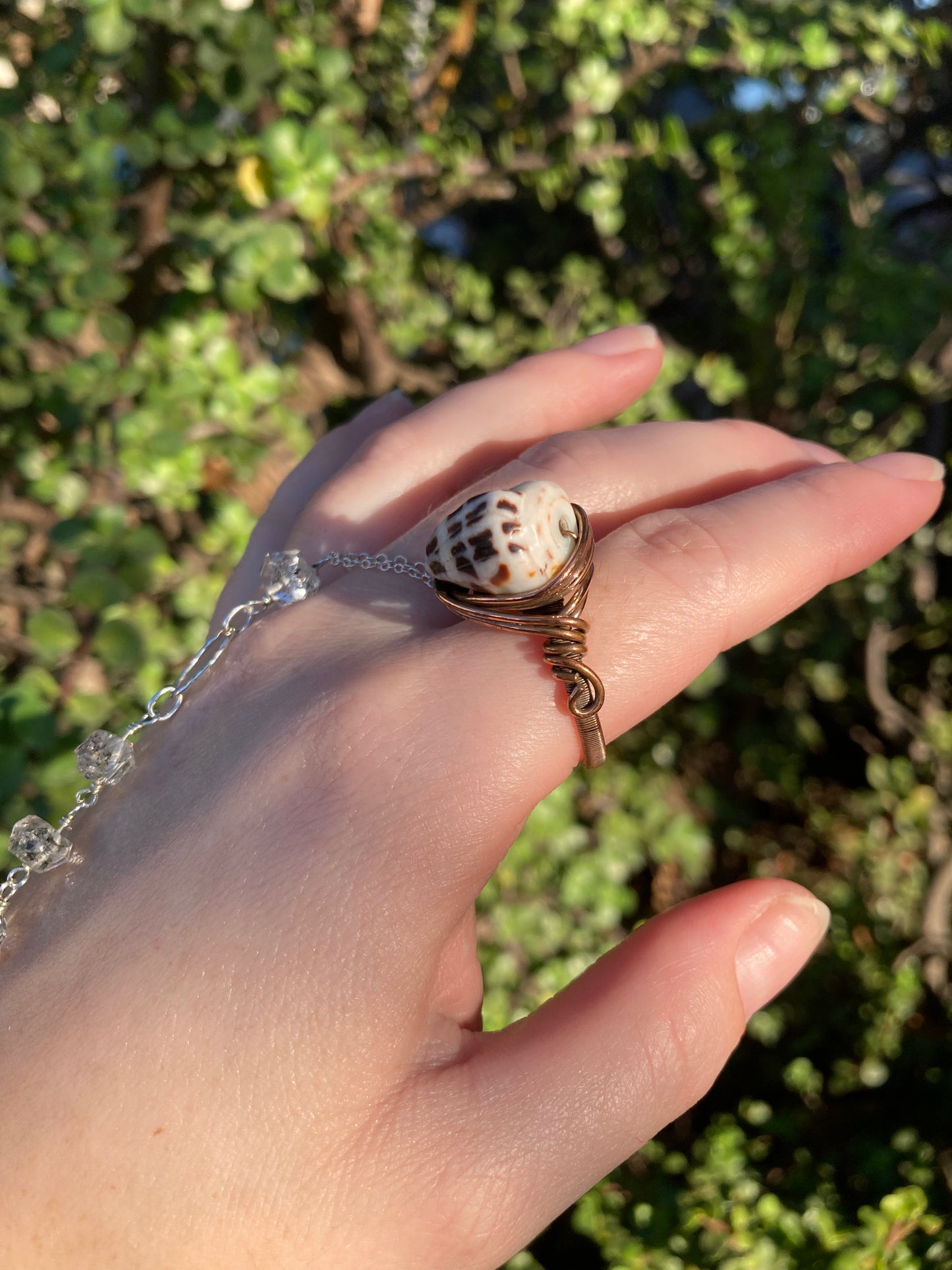 Hebrew Cone Shell Copper Wire-Wrapped Ring | One-of-a-Kind Handmade Beach Jewelry